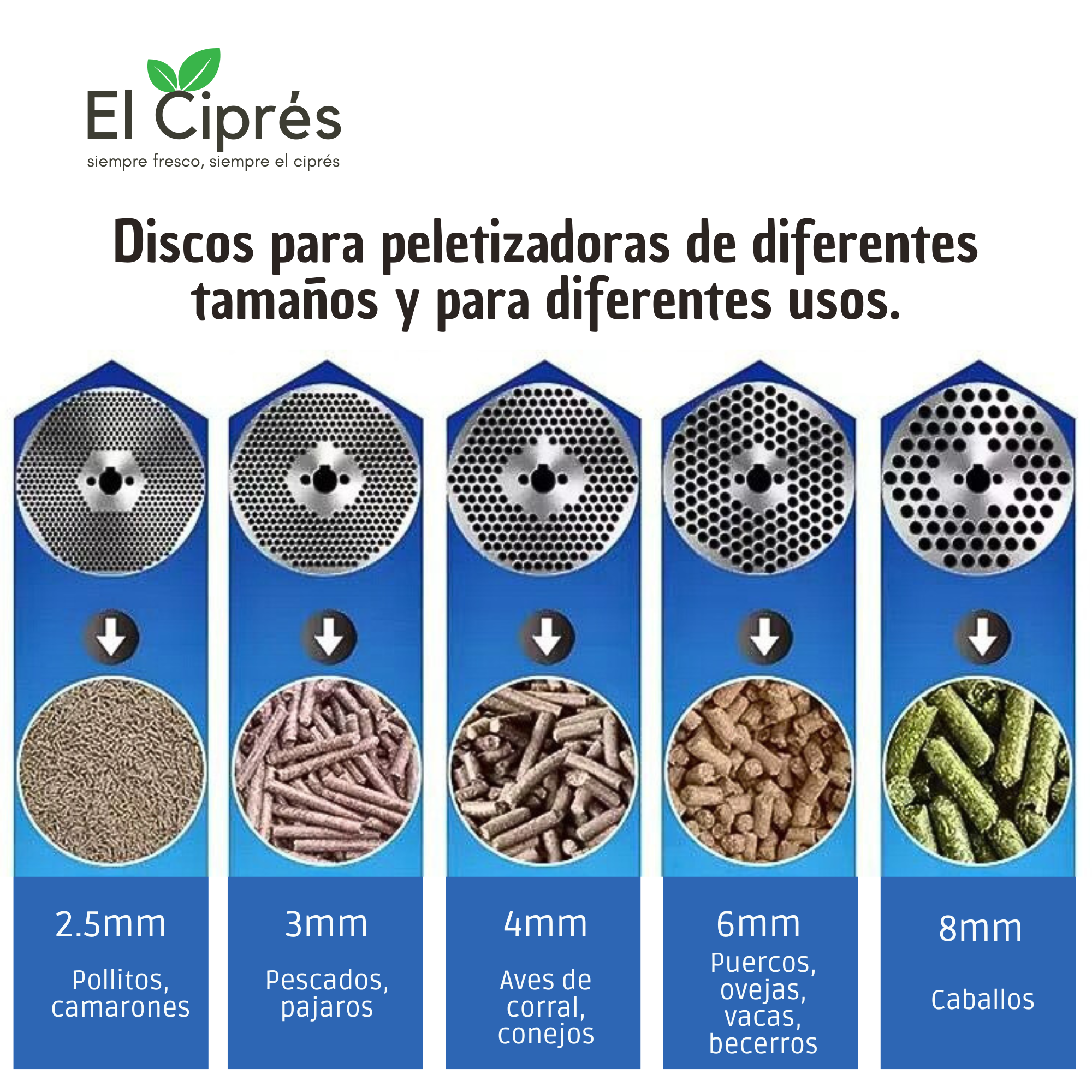 Disco 2.5mm para Peletizadora de Alimento Modelo 300Kg/hr