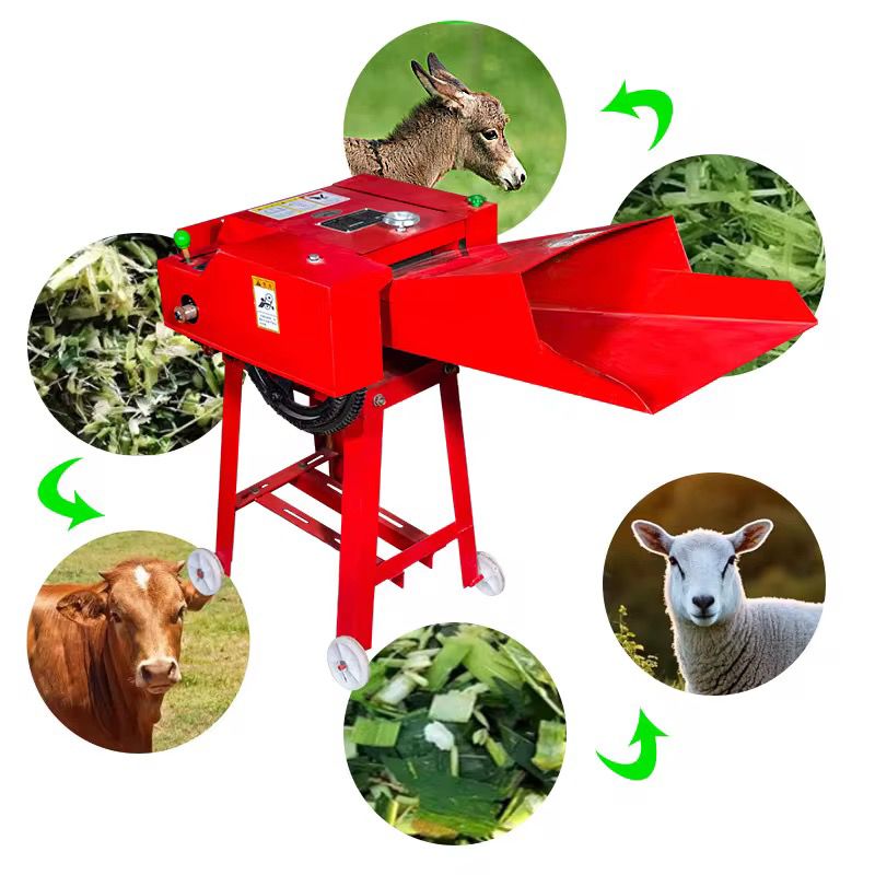 Picadora de Forraje 500 kg/hr